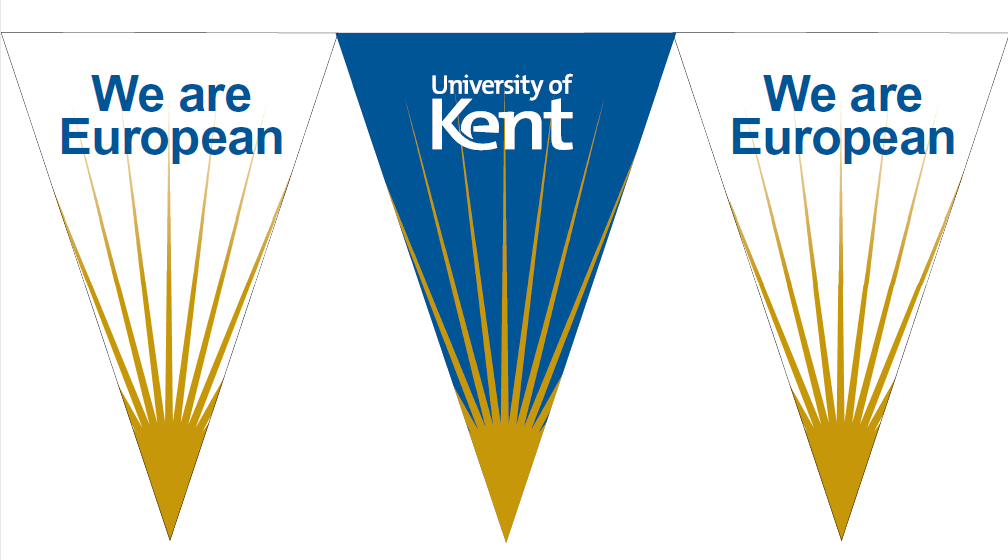 University response to Brexit questioned